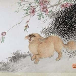 石颢云的头像