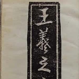 刘语淇的头像