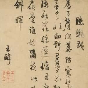 会员头像