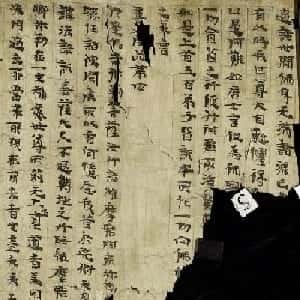 会员头像