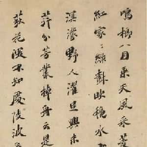 郑玺锦的头像
