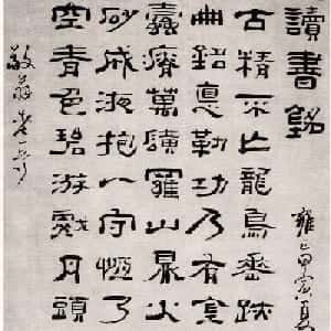 会员头像