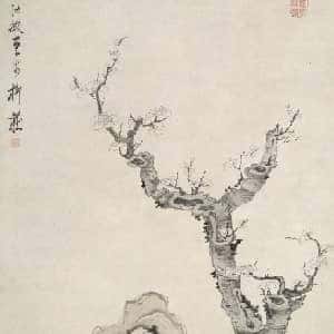 会员头像