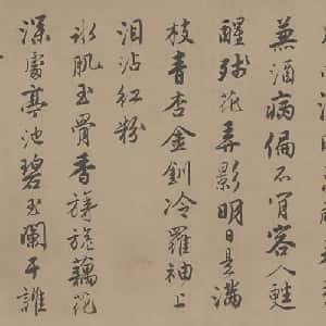 会员头像