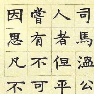 会员头像