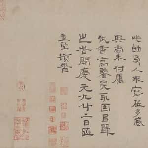 会员头像