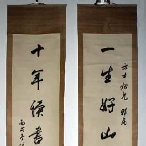 马泽晴的头像