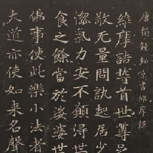 秦羽泽的头像