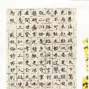 唐玟玟的头像