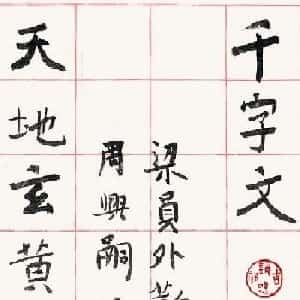 xanti的头像