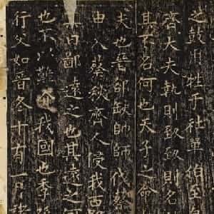 会员头像