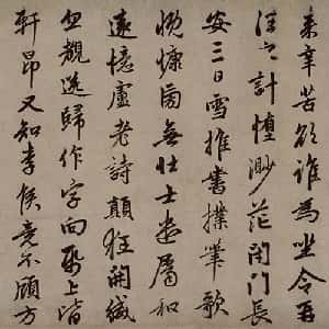 会员头像