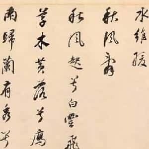 omar的头像