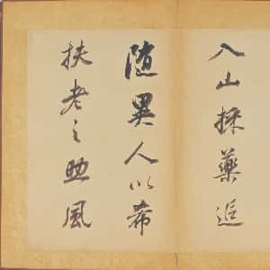 施芸俞的头像