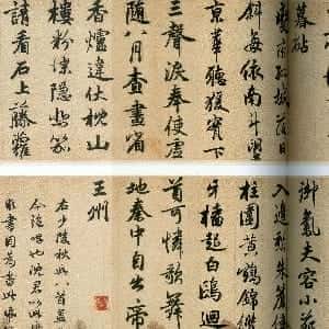 tamika的头像