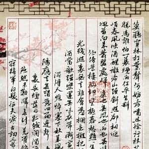 谢雯珺的头像