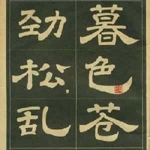 会员头像