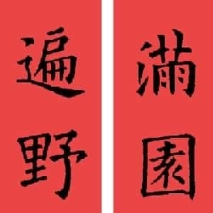 会员头像