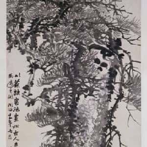 xaviere的头像