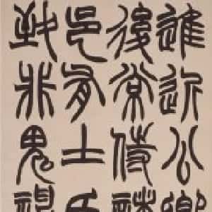 会员头像