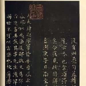会员头像