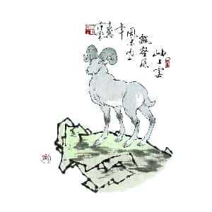 石乐茹的头像