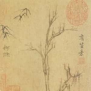 白章循的头像