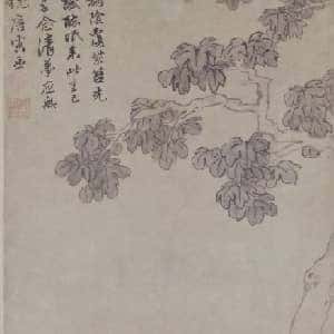 lacole的头像