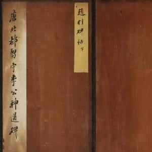 会员头像