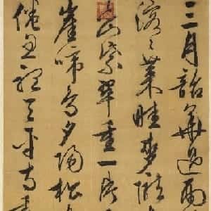 会员头像