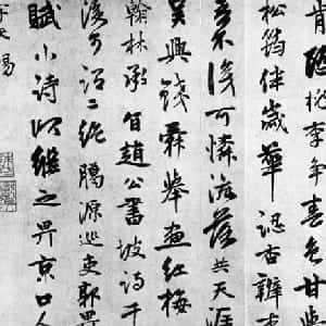 泪不是为你而流的头像
