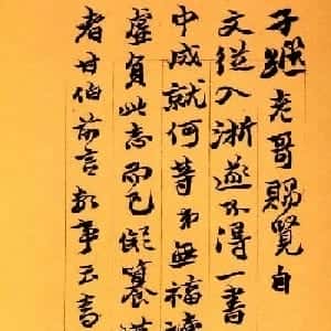 会员头像