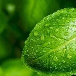 吴菲语的头像