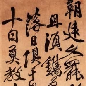 会员头像