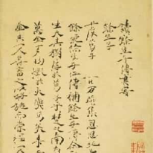 杨夏曼的头像