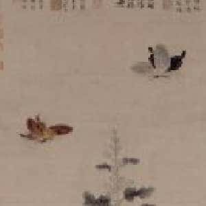 丁子凛的头像