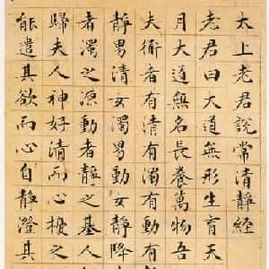 会员头像