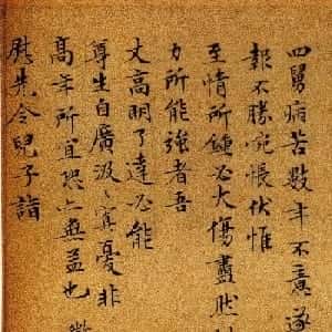 risha的头像