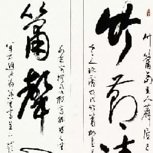 会员头像