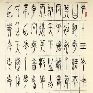 武姿琪的头像