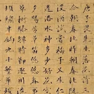 陶怡珺的头像