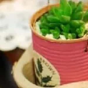 范锦聪的头像