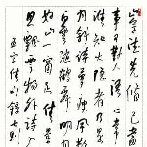 stormy的头像