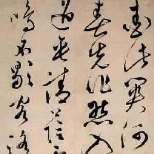 会员头像