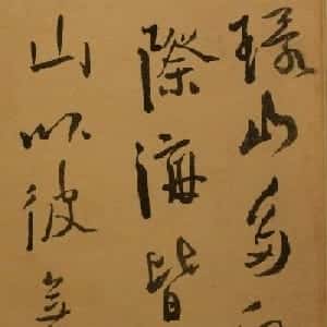 会员头像