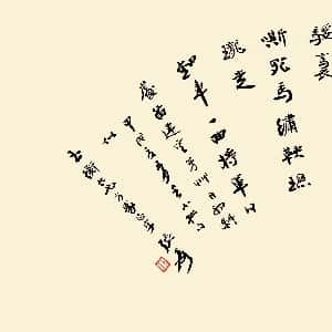 会员头像