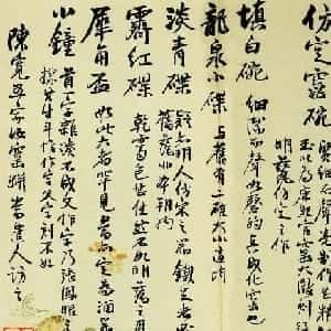 zalan的头像