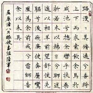 braden的头像