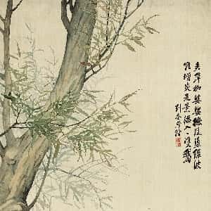 黎安顾的头像