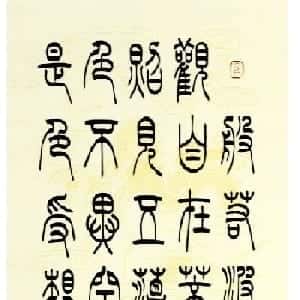 会员头像